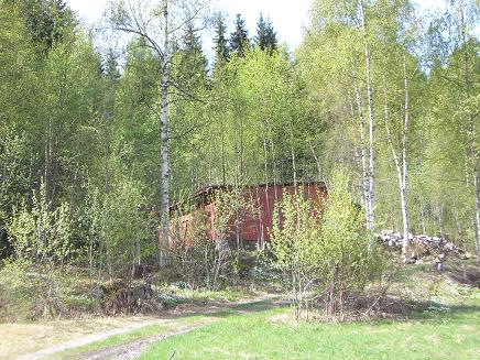 Bjerkeskog rundt garasjen